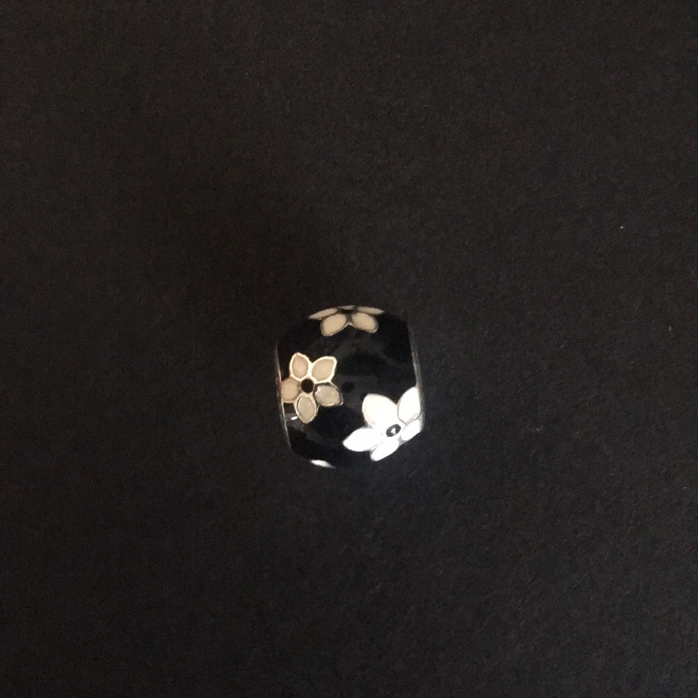 Pandora charm